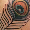 peacock feather on ribs