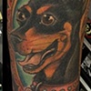 elle the dog portrait