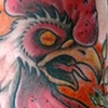 rooster cockhead