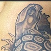 henry the turtle
