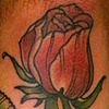 rose forearm