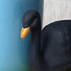 BLACK SWAN BLUE CUP