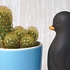 PENGUIN PLANTER