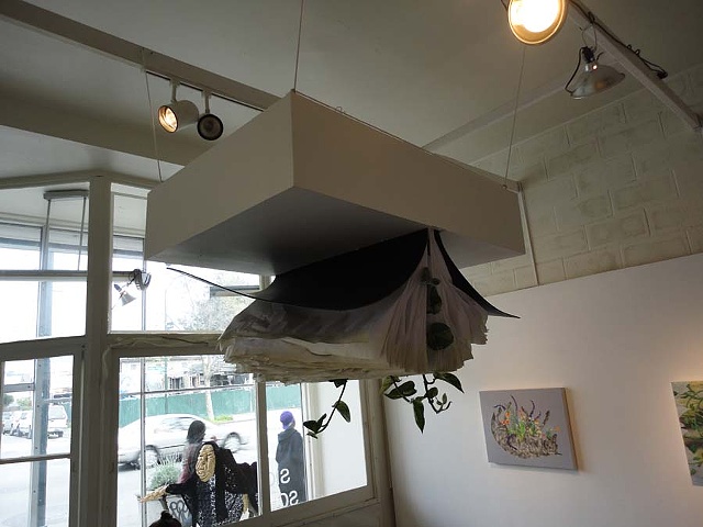 Asshole Sunset install view (Invasive Species)
