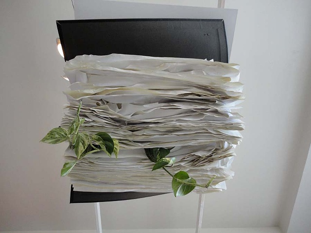 Invasive Species (detail)