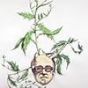 Friedman's Thistle