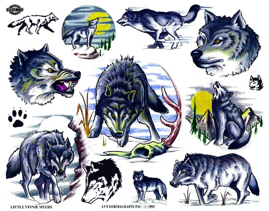 set5 #5