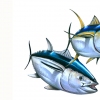 oc tuna 07