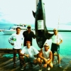 510 lb. Blue Marlin