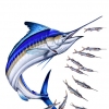 Ballyhoo