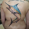 marlin