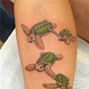 turtles