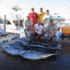 22 Yellowfin