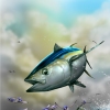 Ahi Mayhem