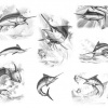 Fish Flash 5
