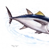 Bigeye