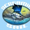 Screamin-Sail