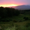 Maui