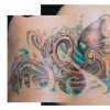 Octopi