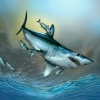 Depth Charge