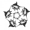 Marlin star 1