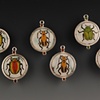 Entomology Earrings