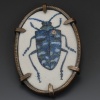 Cerambycid Brooch