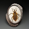 Kissing Bug Brooch