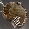 Ammonite Pendant with Citrine