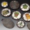 Entomology Collection