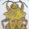 Ambush Bug Brooch