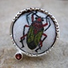 Cotton Stainer Ring