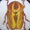 Yellow/Brown Beetle Brooch