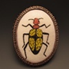 Blister Beetle Brooch