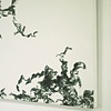 Detail: Mapping the Tenuous (Unit 3)