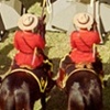 Eddy Canada