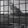 B/W