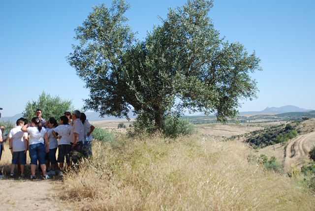 Project Flying Carpet Belalc�zar, workshop performance at llavaderos (ancient laundry room), excursion to magic place 1, The Castle
photography: Rosana Cam�ra
