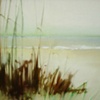 Follies on Folly