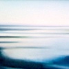 Marsh Dream