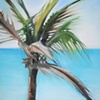 Cancun Palm
