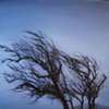 Tempest