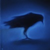Night Raven