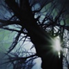 First Light