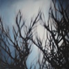 Reach
