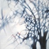 Winter Trees #3