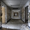 Shedding Walls
