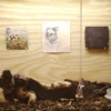 Cabin of Curiosity