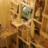 Cabin of Curiosity
