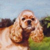 "Barkley"
